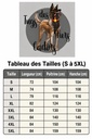 Tableau des tailles