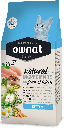 Ownat chat Classic chaton